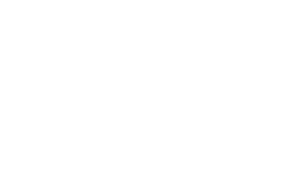 APF03